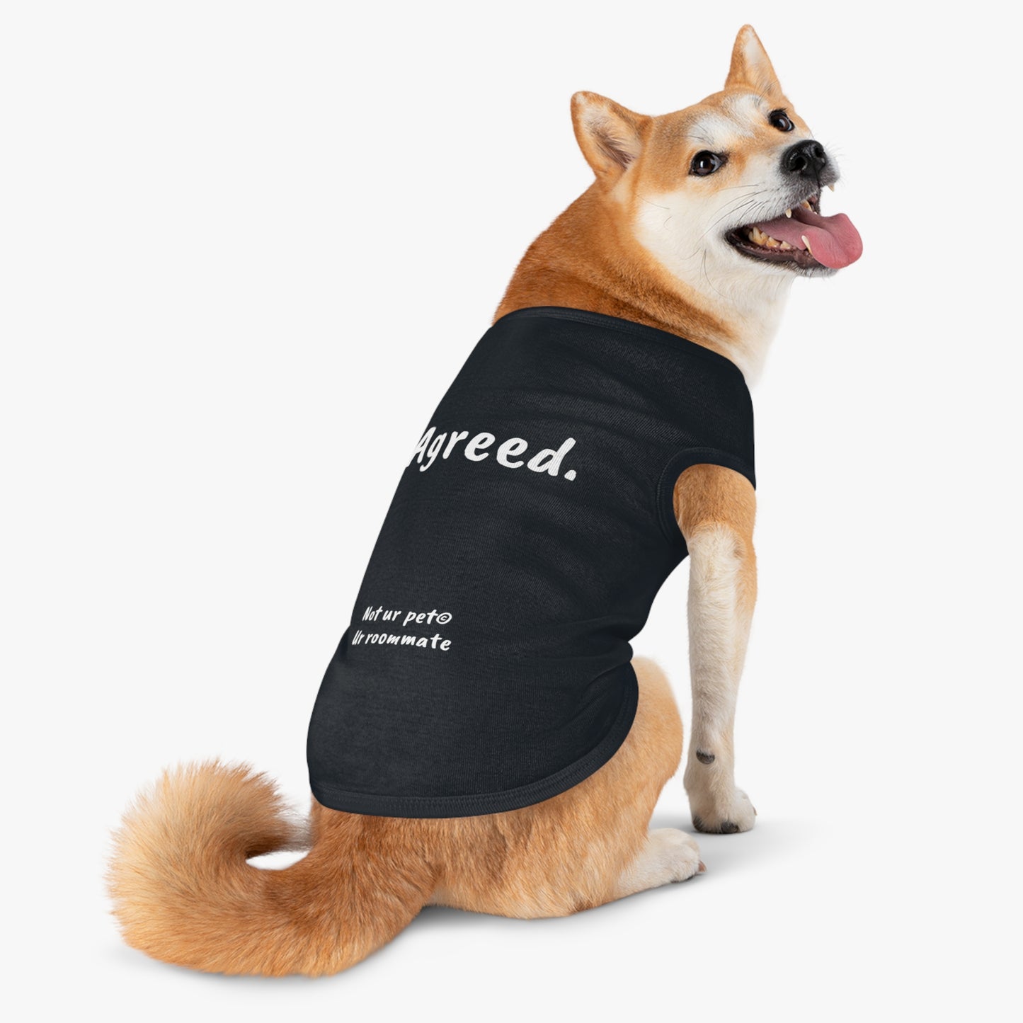 dog wearing black t-shirt with "agreed." text on background