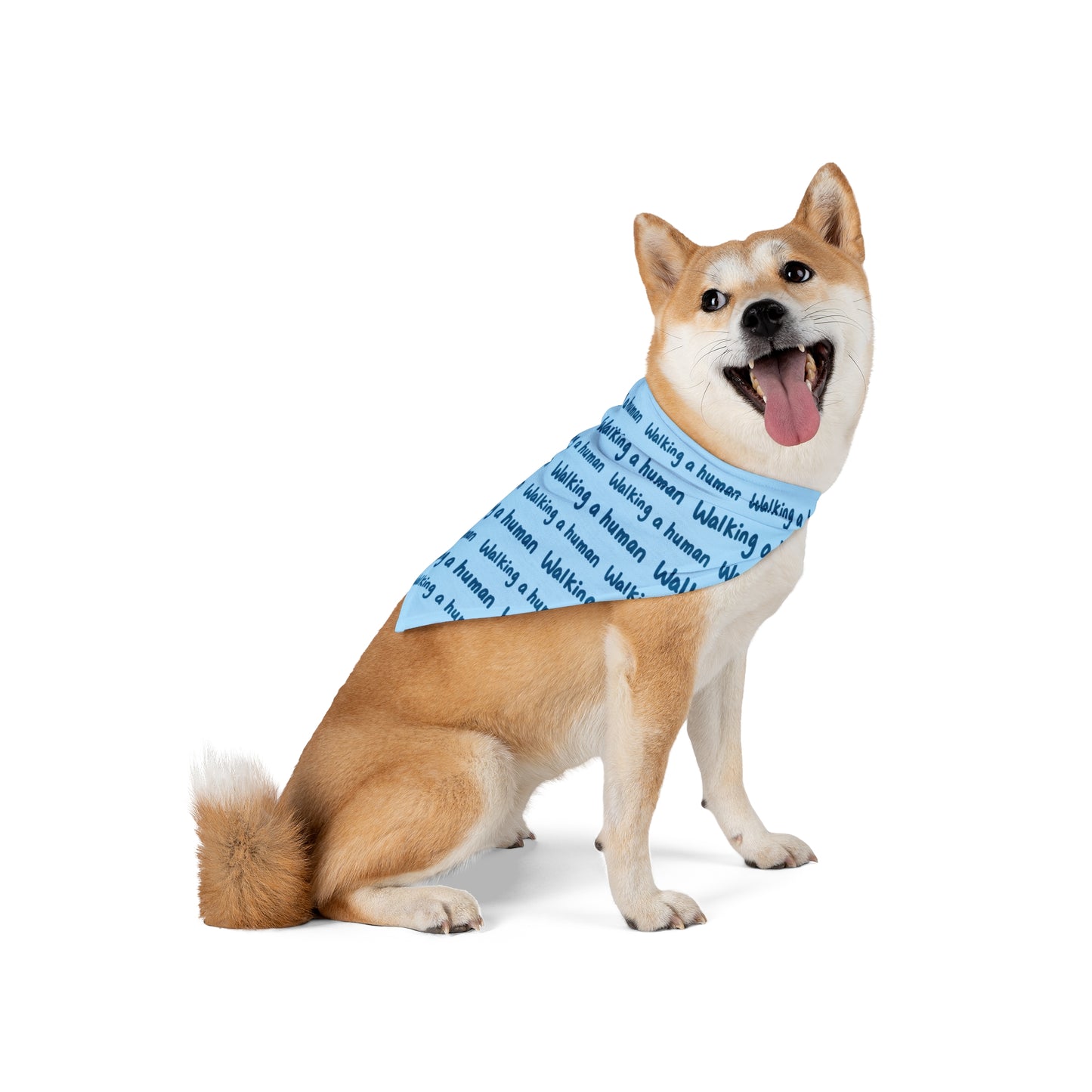 glacier blue "walking a human" repeating text bandana on a small dog