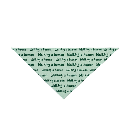 mint "walking a human" repeating text bandana on a dog