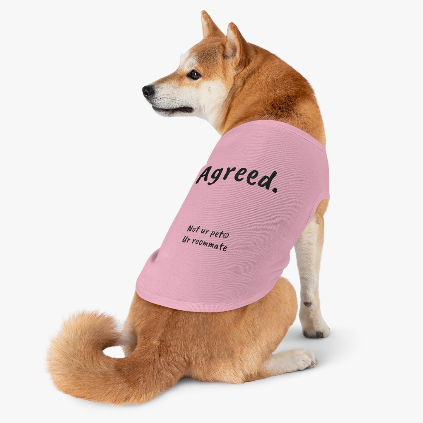 dog wearing t-shirt with "agreed." text on white background