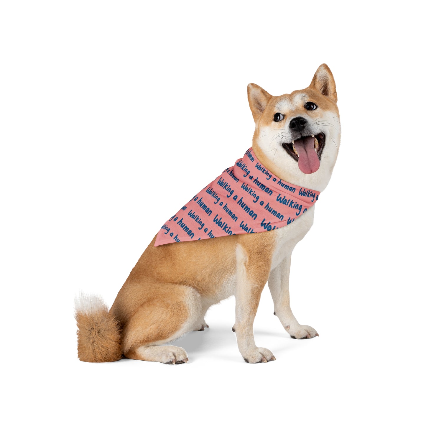 “Walking a Human” Repeating Text — Pet Bandana