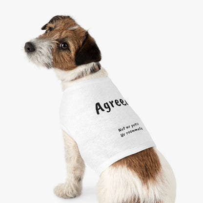 small dog wearing t-shirt with "agreed." text on white background