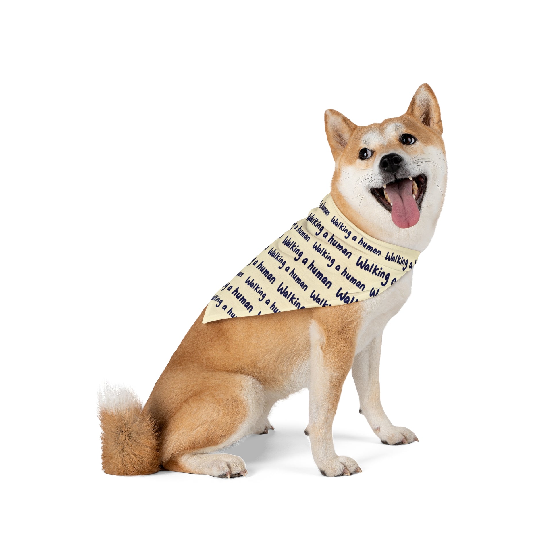 beige "walking a human" repeating text bandana on a small dog