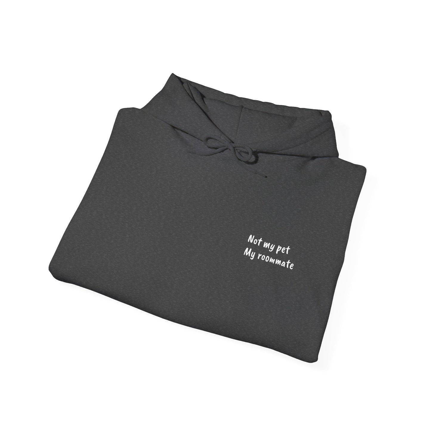 "Unavailable. Got plans with my cat." Hoodie