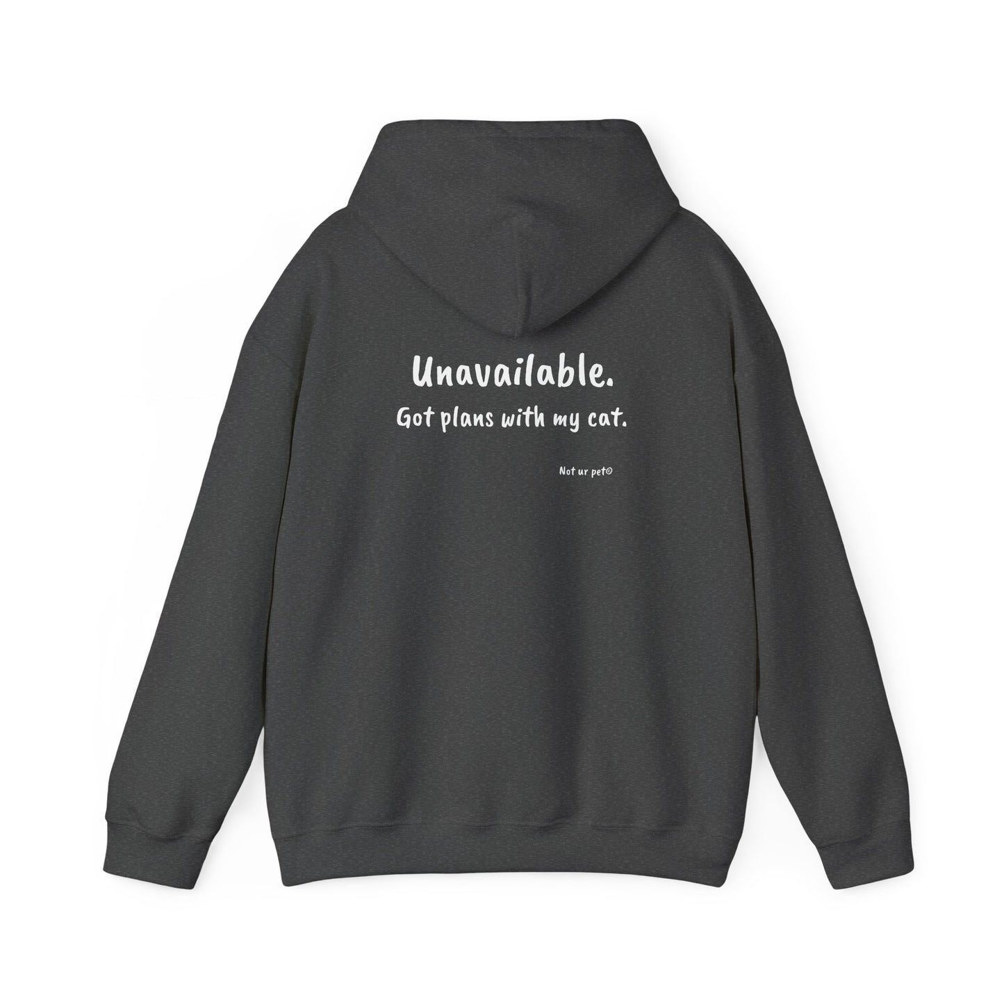 "unavailable. got plans with my cat." hoodie