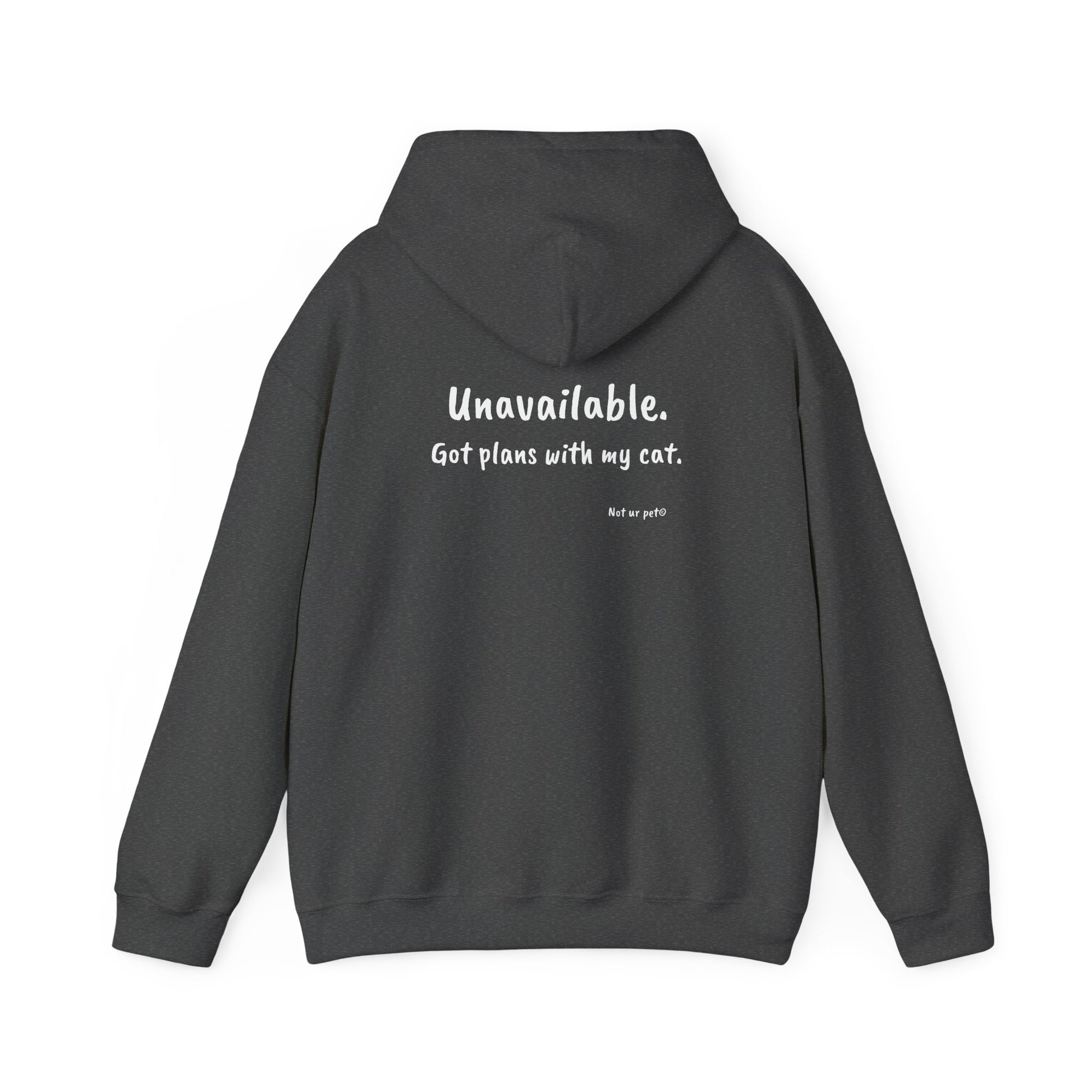"unavailable. got plans with my cat." hoodie