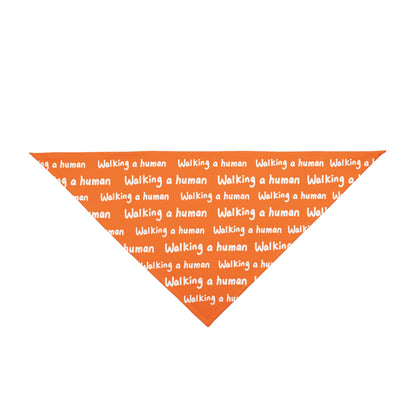 orange "walking a human" repeating text bandana on a dog