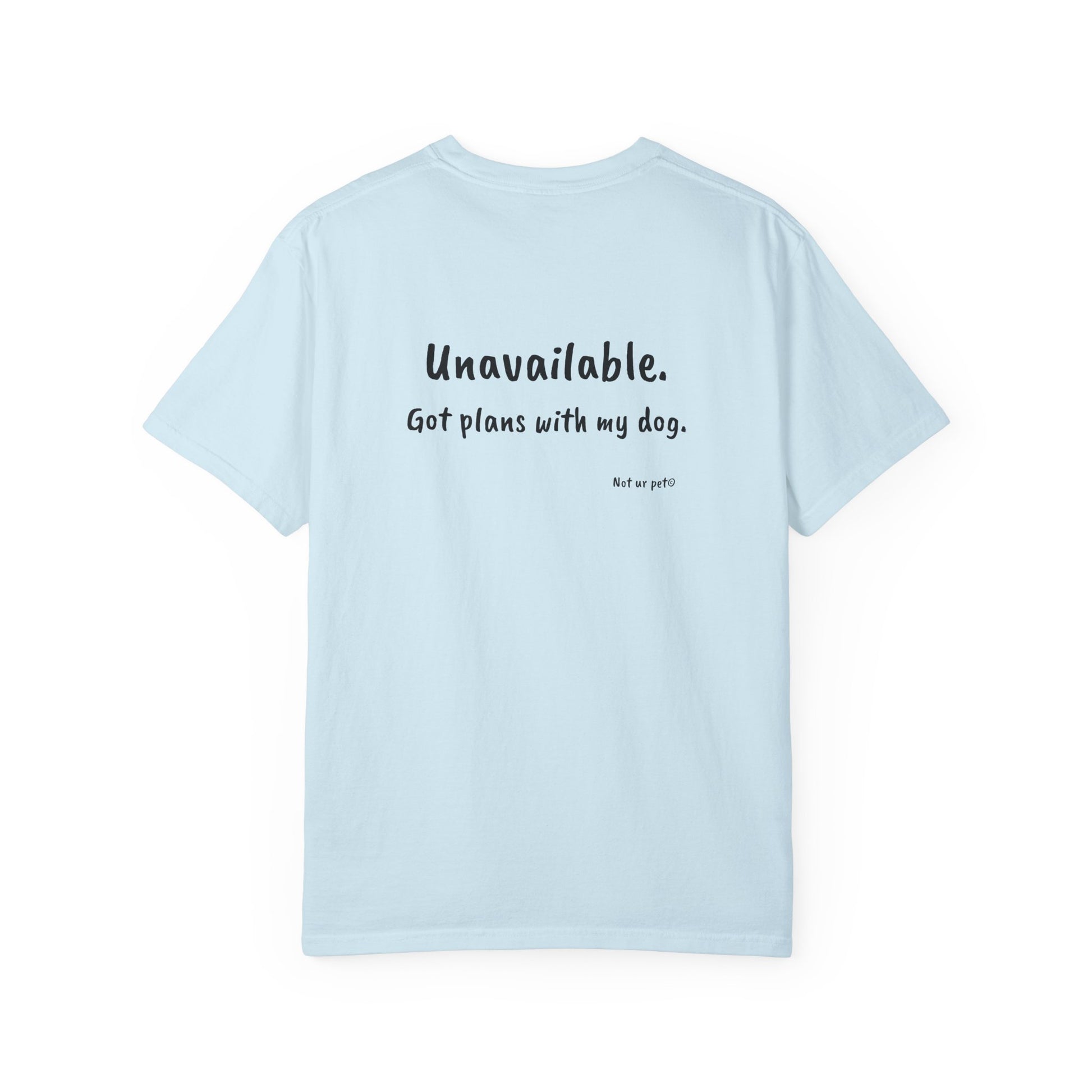 close up of "unavailable. got plans with my dog" text on soft light blue cotton t-shirt