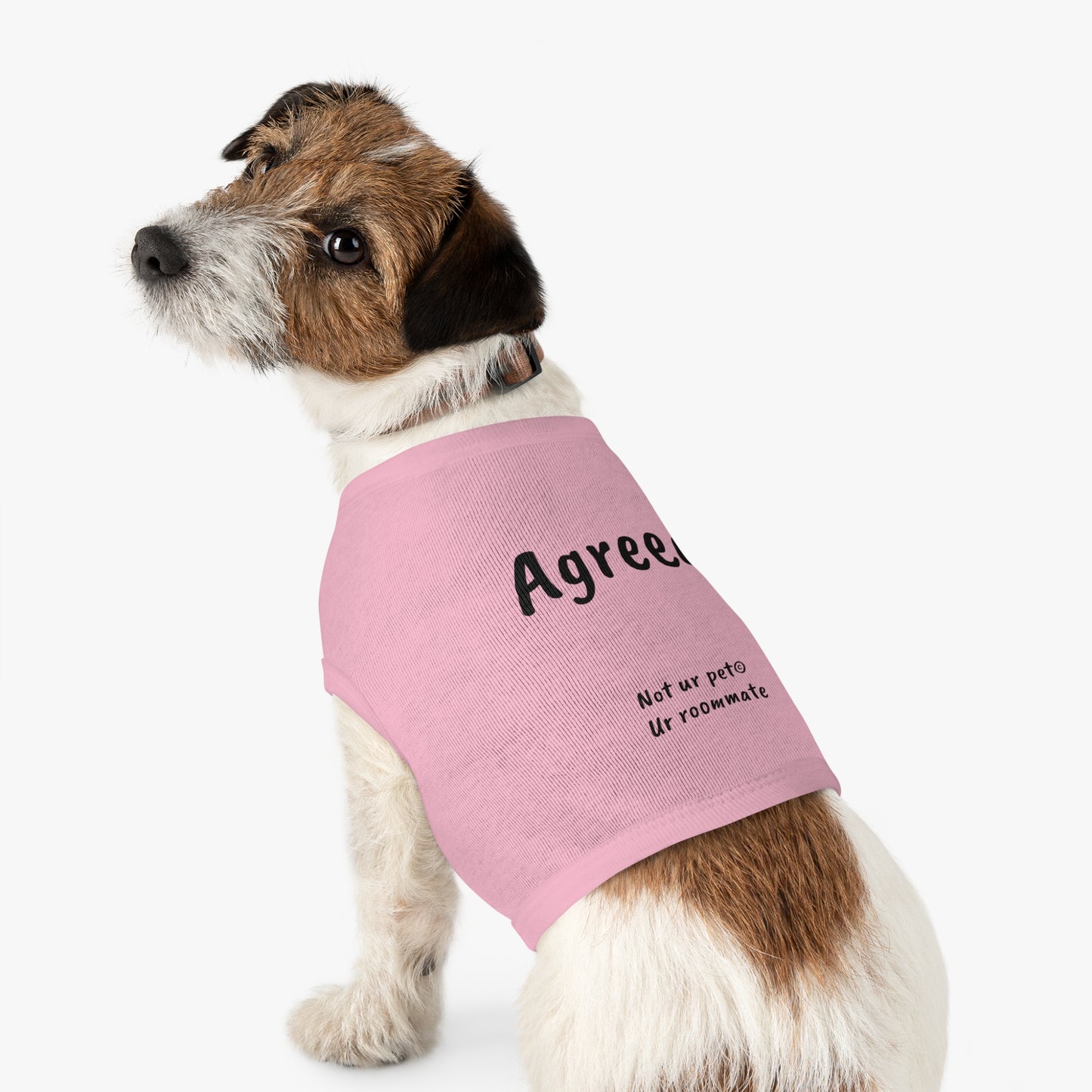 small dog wearing t-shirt with "agreed." text on white background