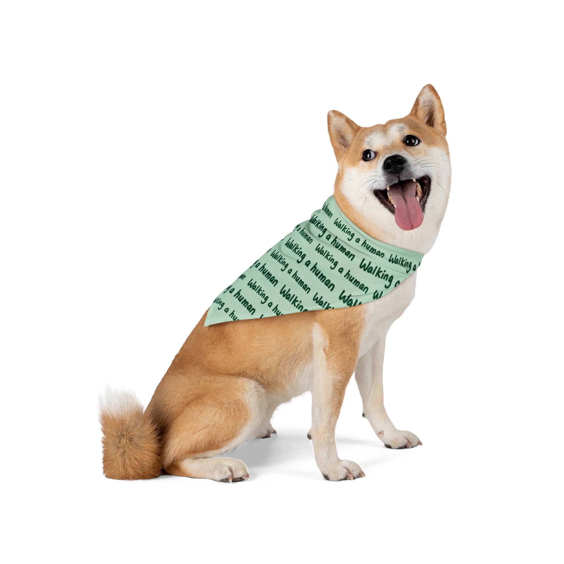 mint "walking a human" repeating text bandana on a dog