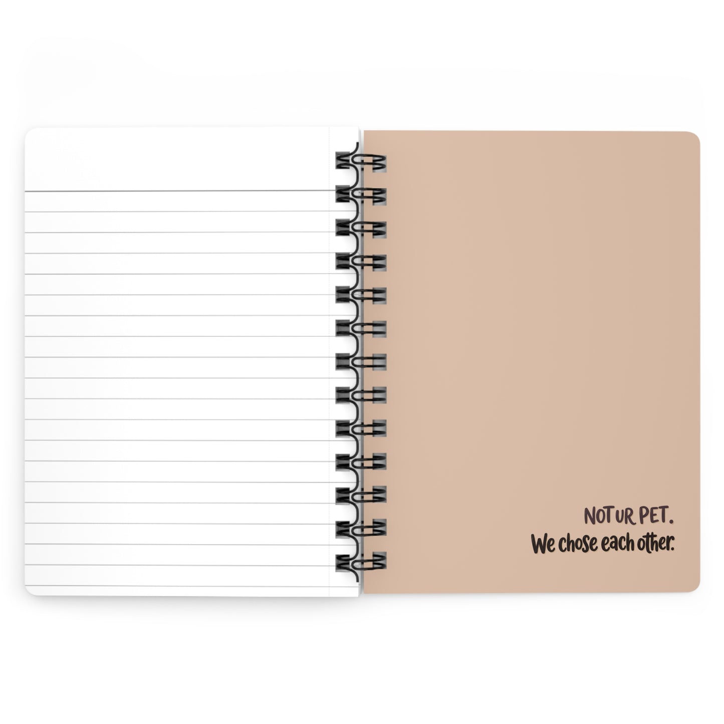 "Paws Off, Pencils On" — Spiral Journal