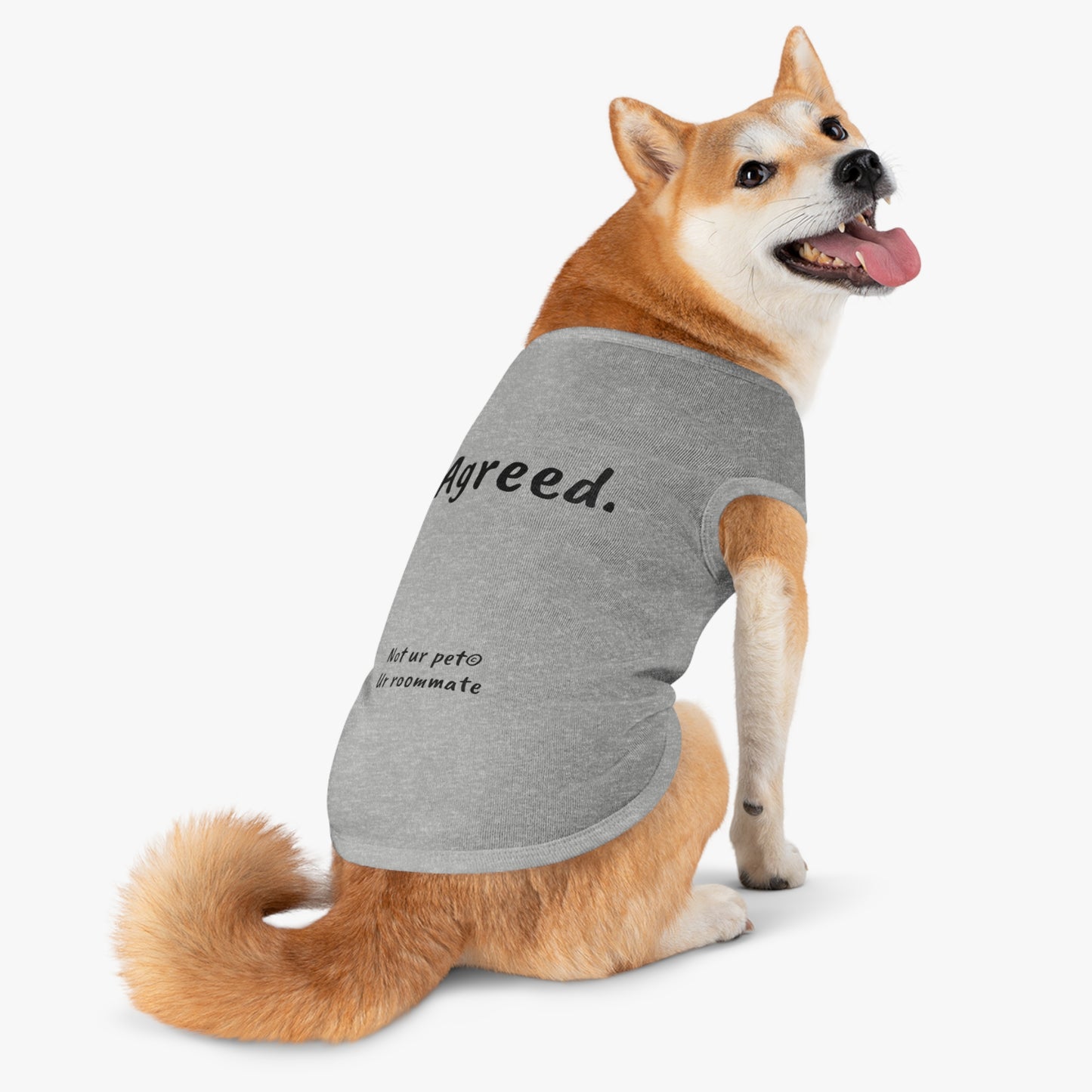 dog wearing t-shirt with "agreed." text on white background
