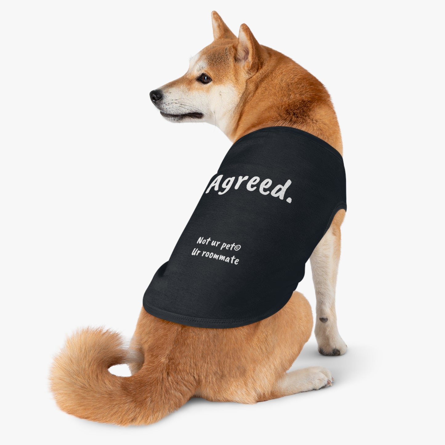 dog wearing black t-shirt with "agreed." text on background