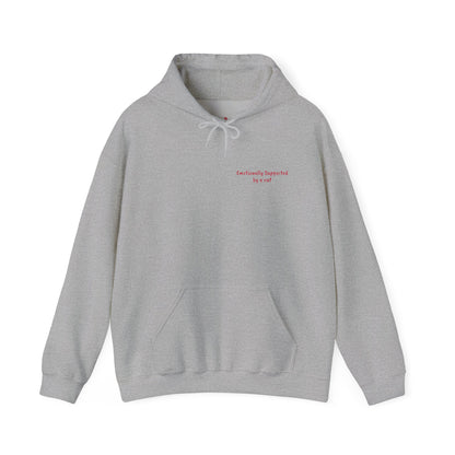 "I Love My Cat" Hoodie
