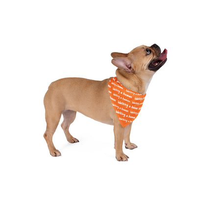 orange "walking a human" repeating text bandana on a dog