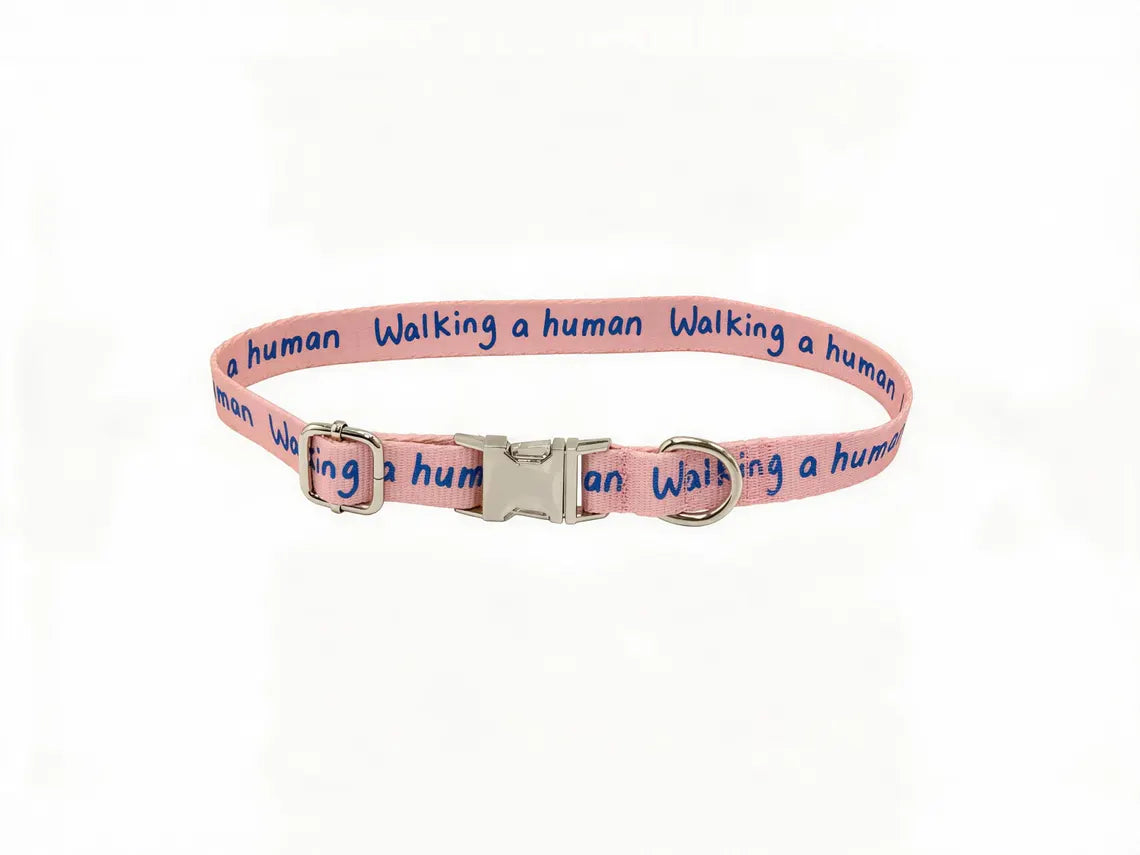 Dog Collar – Walking a Human, Not Your Pet, Terracotta Pink - Ocean, Durable Polyester