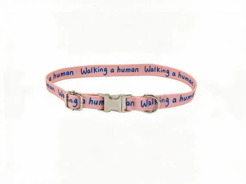 Dog Collar – Walking a Human, Not Your Pet, Terracotta Pink - Ocean, Durable Polyester