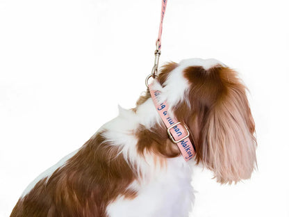 Dog Collar – Walking a Human, Not Your Pet, Terracotta Pink - Ocean, Durable Polyester