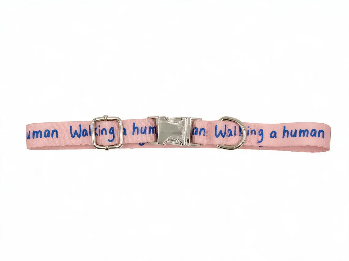 Dog Collar – Walking a Human, Not Your Pet, Terracotta Pink - Ocean, Durable Polyester