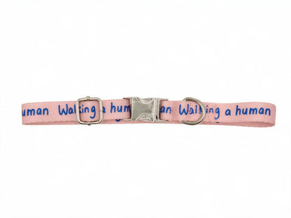Dog Collar – Walking a Human, Not Your Pet, Terracotta Pink - Ocean, Durable Polyester