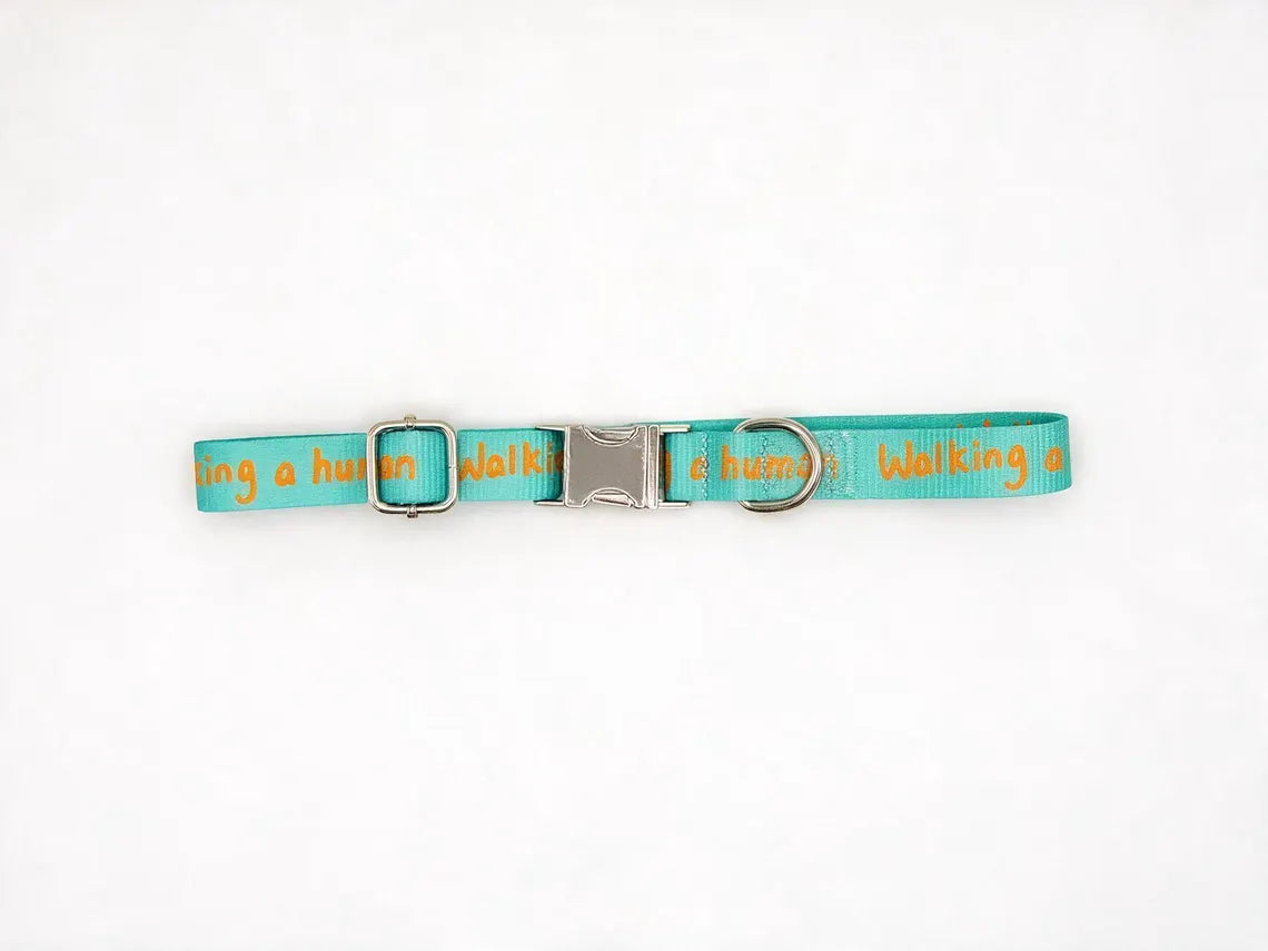Dog Collar – Walking a Human, Not Your Pet, Orange-Aqua, Durable Polyester