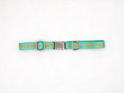 Dog Collar – Walking a Human, Not Your Pet, Orange-Aqua, Durable Polyester