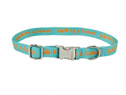 Dog Collar – Walking a Human, Not Your Pet, Orange-Aqua, Durable Polyester