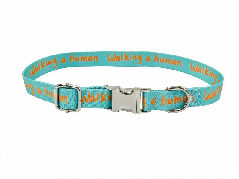 Dog Collar – Walking a Human, Not Your Pet, Orange-Aqua, Durable Polyester